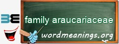 WordMeaning blackboard for family araucariaceae